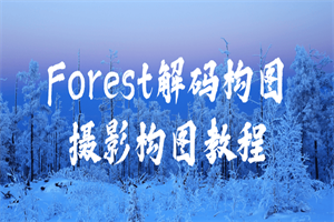 Forest解码构图摄影构图教程-资源站